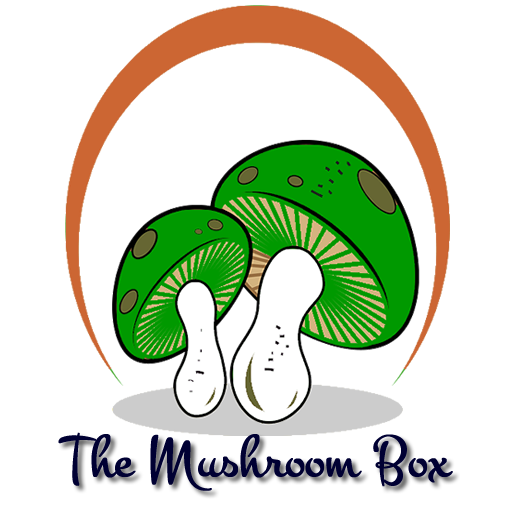 The Mushroom Box  Icon