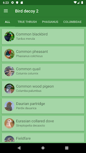 Android application Decoy on the field bird screenshort