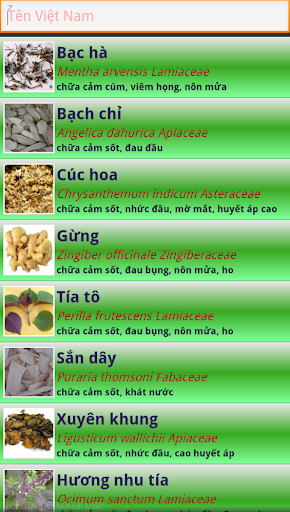 Dược Liệu Screen 2
