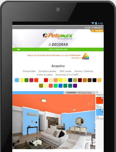 Pintumex