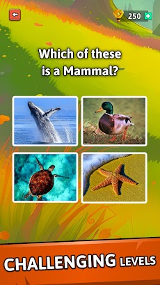 Animal Quiz Guess their Answerのおすすめ画像3