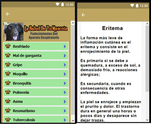 La salud de tu perro - las mas