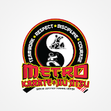 Metro Karate & Jiu Jitsu icon