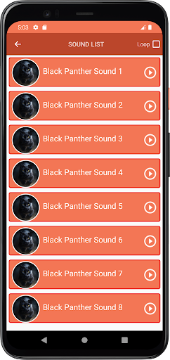 Black Panther Sounds Screen 3