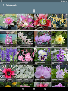Imágen 17 Rompecabezas: Flores android