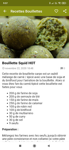 CarnaCarpe - Pêche carpe et ca Screen 3