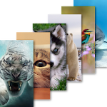 Cover Image of Download Animal Wallpaper 1.3 APK