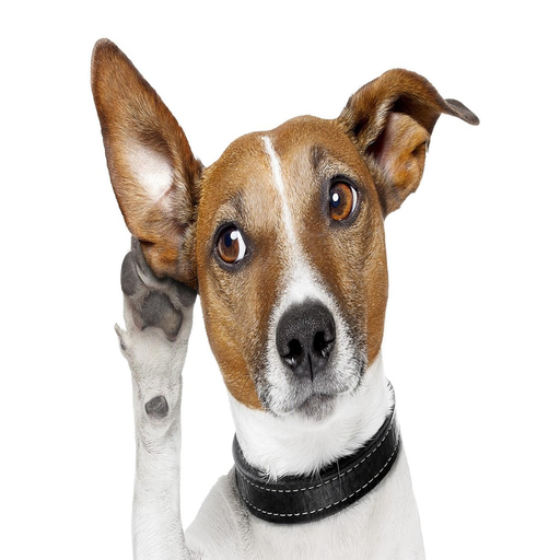 Cerca Cani logo