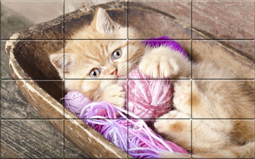 Tile Puzzle Cats Screen 3