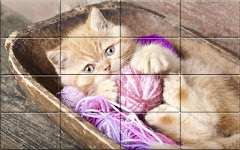 screenshot of Tile Puzzle Cats