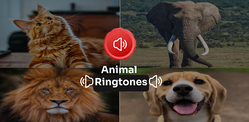 Animal Ringtones