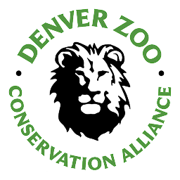 Denver Zoo: Download & Review