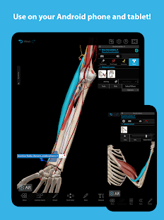 Captura de pantalla de músculos y kinesiología