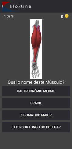 159 Human Muscles Challenge - Screenshot 2