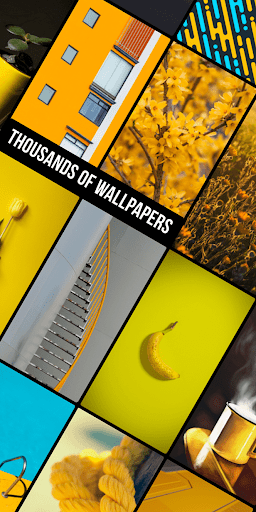 Yellow Wallpapers in HD, 4K Screen 2