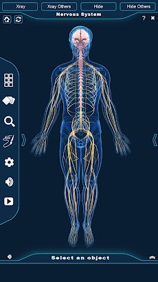 Nervous System Anatomy Pro.のおすすめ画像1