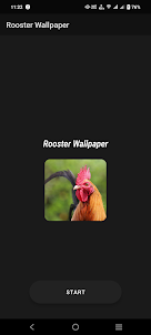 Rooster Wallpaper
