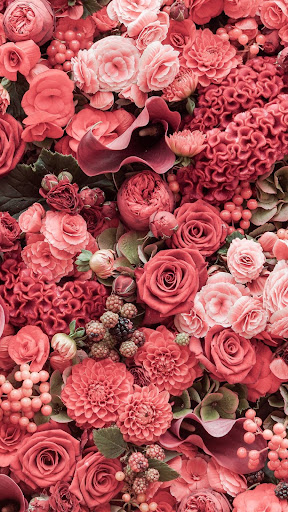 Rose Wallpapers Screen 3