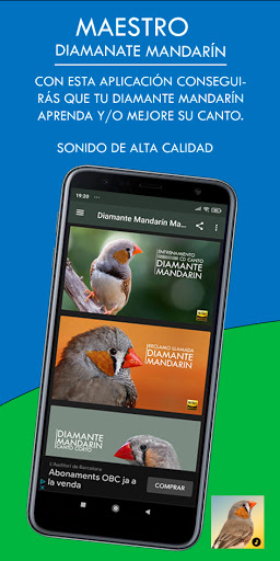 Android application Diamante Mandarín Maestro screenshort