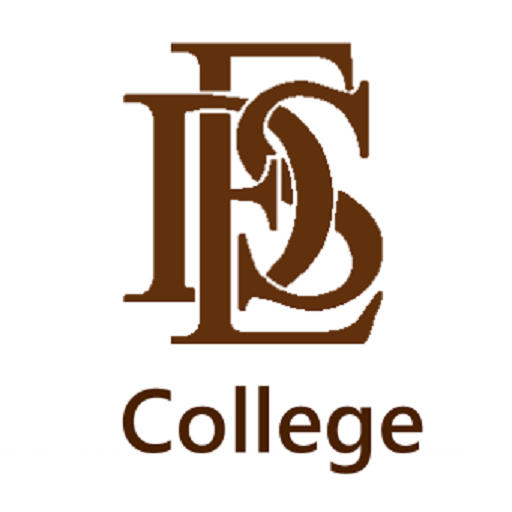 DES Vidya - College logo