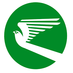 Icon image Turkmenistan Airlines