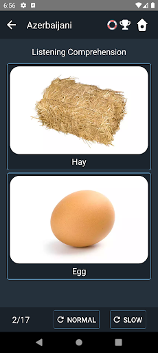 Azerbaijani Language Tests