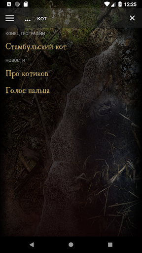 Торф ТВ Screen 3