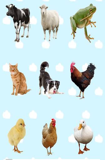 Android application Animal sounds for kids screenshort