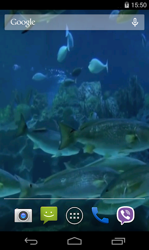 Real Aquarium Video Wallpaper Screen 2