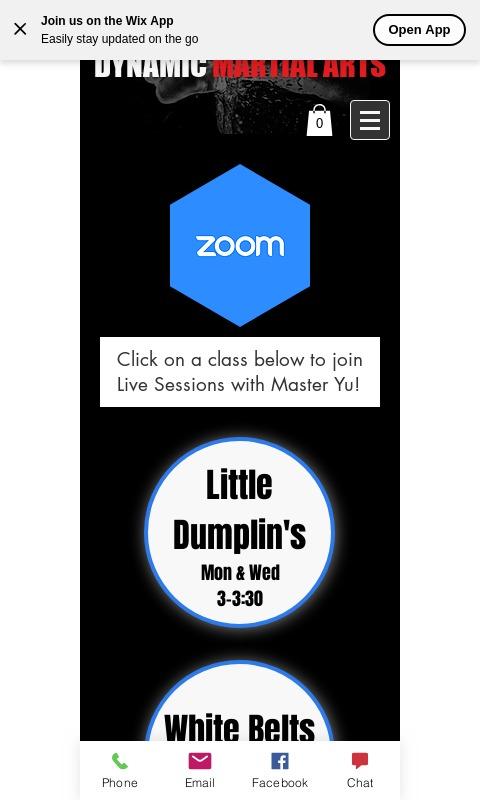Android application Master Yu Dynamic Martial Art screenshot