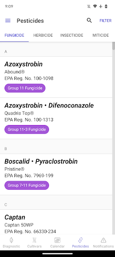 UF Blueberry Growers Guide