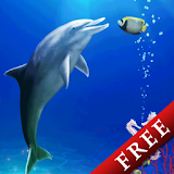 Dolphin and Friends Trial icon