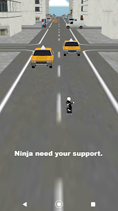 Ninja Cat Skate