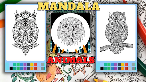 Owl Mandala Coloring Book App