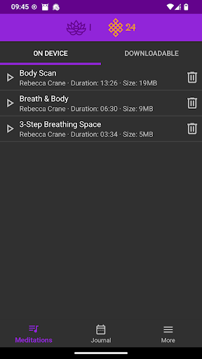 Mindfulness Meditation Screen 3