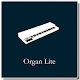Organ Lite Download on Windows