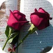 Top 30 Entertainment Apps Like roses love roses with love phrases with roses - Best Alternatives
