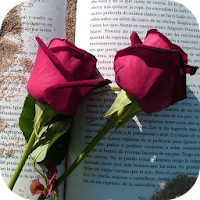 Rosas de amor rosas con frases de amor con rosas