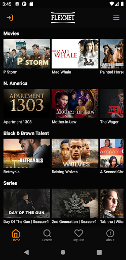 Flexnet TV Screen 2