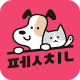펫친 - 반려동물 토탈 라이프케어 icon
