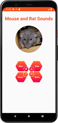 Mouse and Rat Sounds Screen 2
