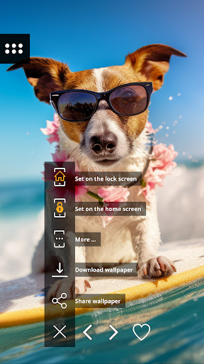 Funny wallpapers Screen 2