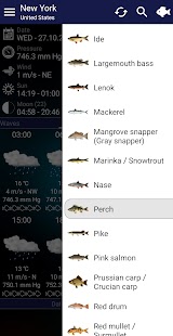 Fishing forecast Screenshot