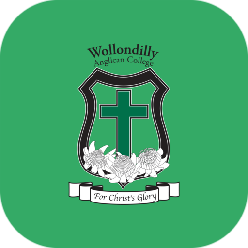 Wollondilly logo