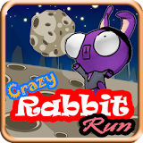 Crazy Rabbit Run icon