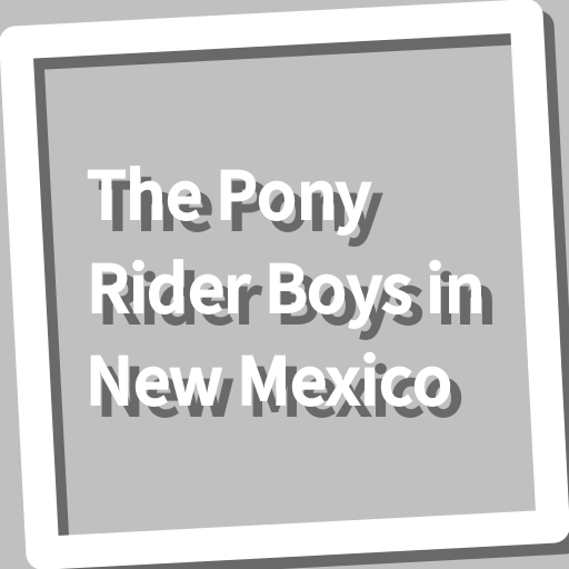 Book, The Pony Rider Boys in N logo
