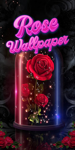 beautiful rose wallpaper Screenshot 1 - AppWisp.com