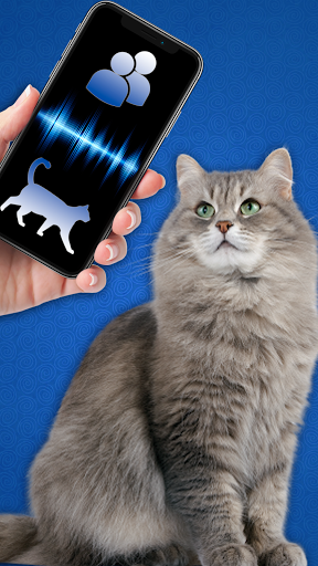 Translator for cats meow prank