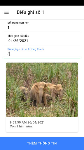 Elephant tracking