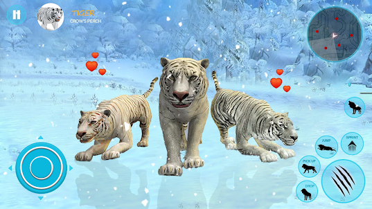 Wild White Tiger Family Sim
